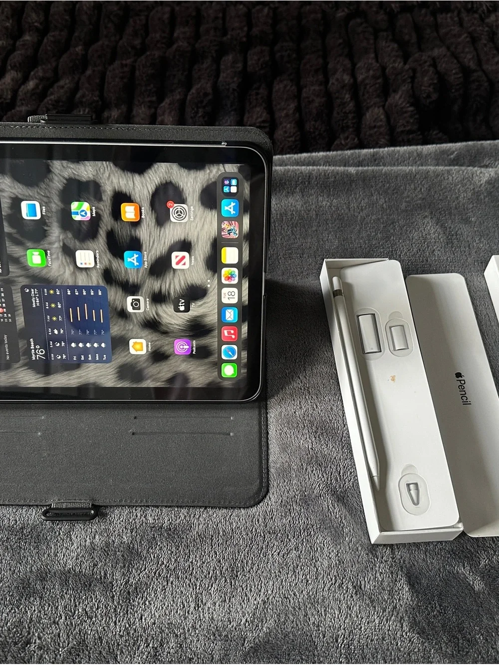 Apple iPad Tablet in Black with White Apple Pencil